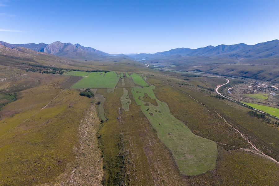 0 Bedroom Property for Sale in Kareedouw Eastern Cape